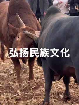 娱乐吃瓜酱牛,揭秘娱乐圈那些不为人知的幕后故事