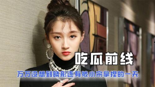 沙雕吃瓜系统娱乐圈小说,沙雕吃瓜系统，带你笑看风云变幻
