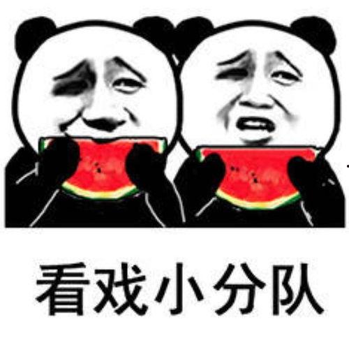 沙雕吃瓜系统娱乐圈小说,沙雕吃瓜系统，带你笑看风云变幻