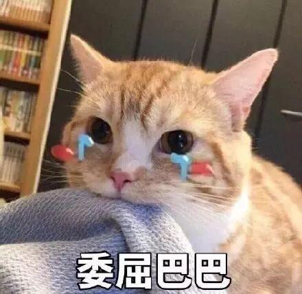 折耳猫娱乐吃瓜君,揭秘娱乐圈那些不为人知的幕后故事