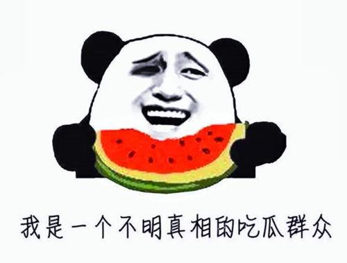 娱乐圈吃瓜小达人是谁,揭秘幕后真相的神秘人物