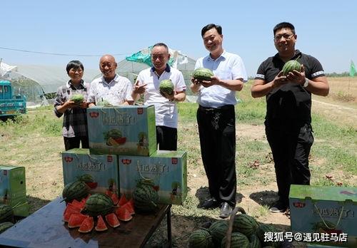 娱乐圈吃瓜小达人是谁,揭秘幕后真相的神秘人物