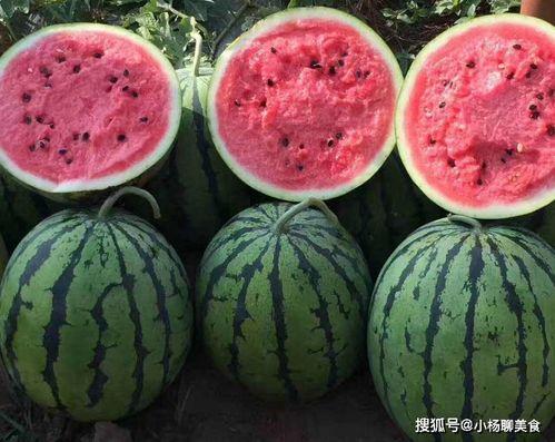 不舍昼夜吃瓜娱乐微博,微博瓜田乐无边