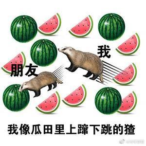 吃瓜娱乐分享,带你一网打尽！